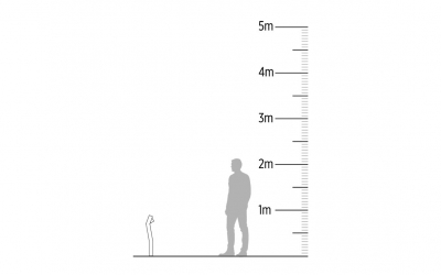 ADHIL BOLLARD