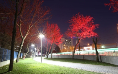 Özel Tasarım Aydınlatma, Özel Tasarım, Aydınlatma, Park Aydınlatma, Bahçe Aydınlatma, Dekoratif Aydınlatma, Bollard Aydınlatma, Aydınlatma Armatürleri, Bahçe Armatürleri, Bahçe Aydınlatma, Yol Armatürü